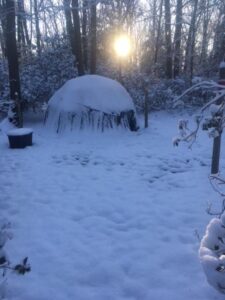 A snow covered igloo in the woods.